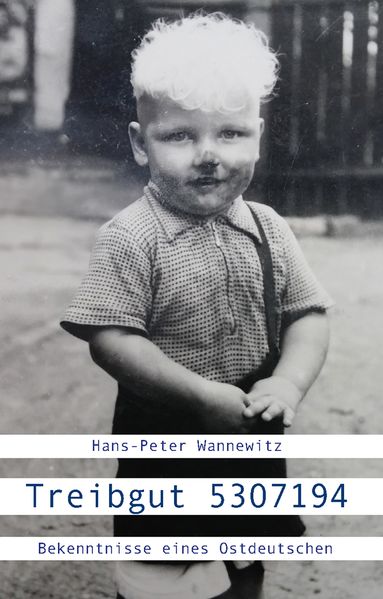Cover von Treibgut 5307194