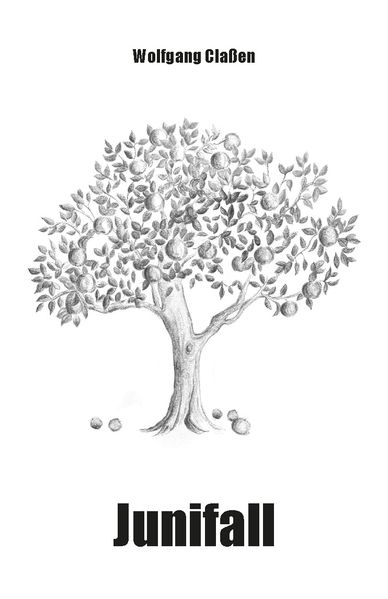 Cover von Junifall