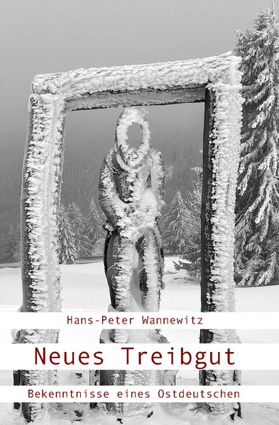 Cover von Neues Treibgut