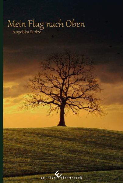 Cover von Mein Flug nach oben