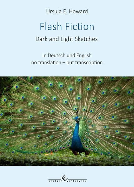 Cover von Flash Fiction