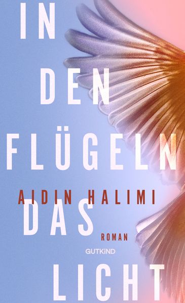 Cover von In den Flügeln das Licht