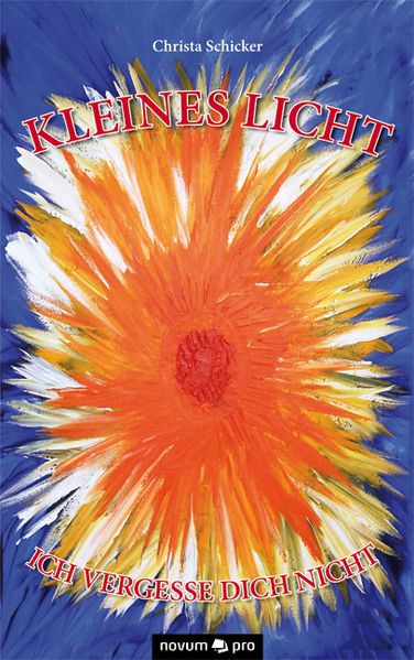 Cover von Kleines Licht, ich vergesse dich nicht