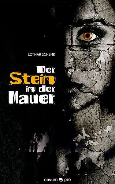 Cover von Der Stein in der Mauer