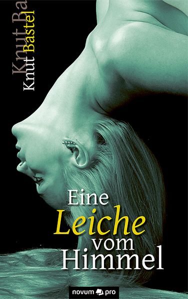 Cover von Eine Leiche vom Himmel