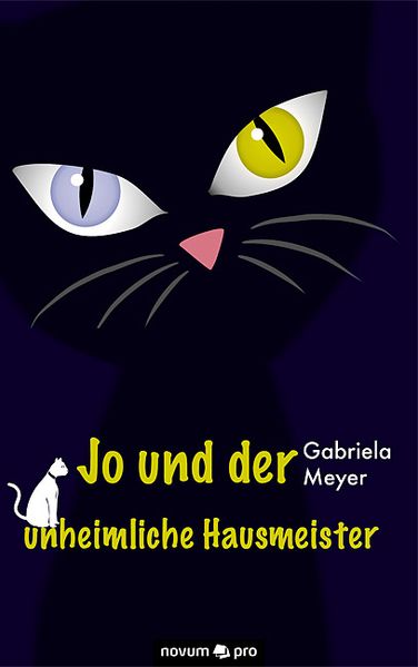 Cover von Jo und der unheimliche Hausmeister