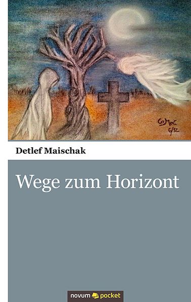 Cover von Wege zum Horizont