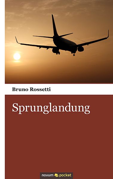 Cover von Sprunglandung