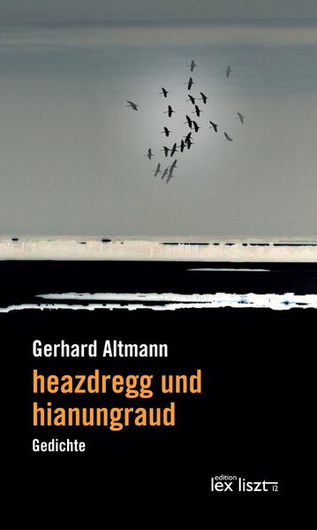 Cover von heazdregg und hianungraud