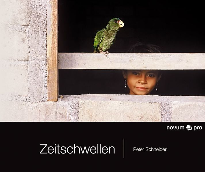 Cover von Zeitschwellen