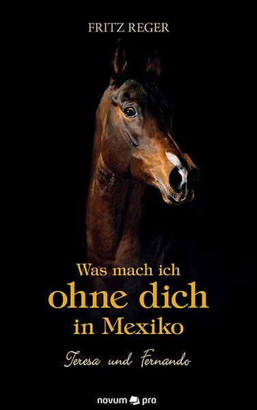 Cover von Was mach ich ohne dich in Mexiko
