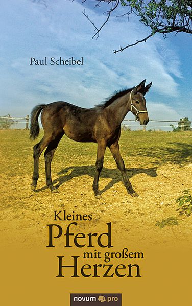 Cover von Kleines Pferd mit großem Herzen