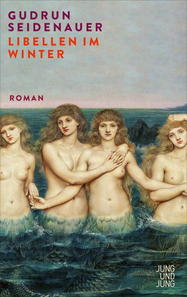 Cover von Libellen im Winter