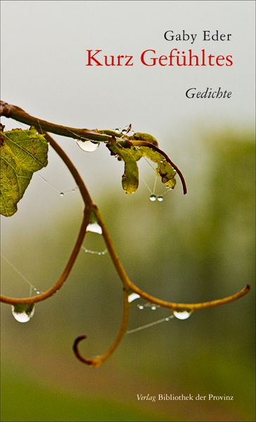 Cover von Kurz Gefühltes