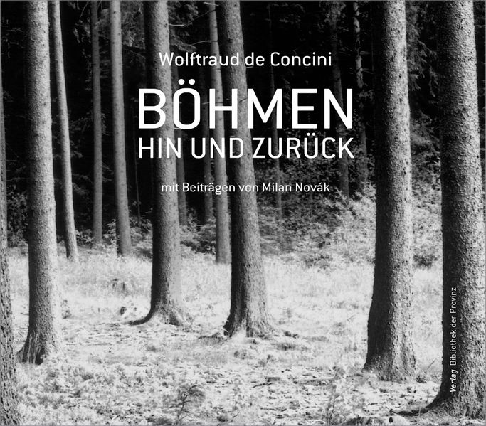 Cover von Böhmen hin und zurück