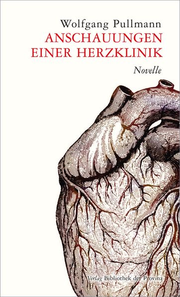 Cover von Anschauungen einer Herzklinik
