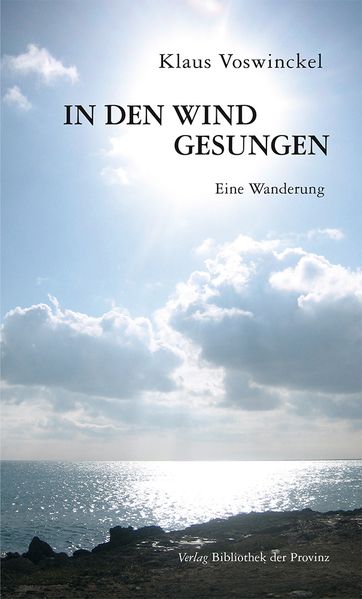 Cover von In den Wind gesungen