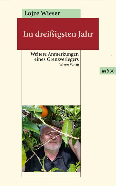 Cover von Im dreißigsten Jahr