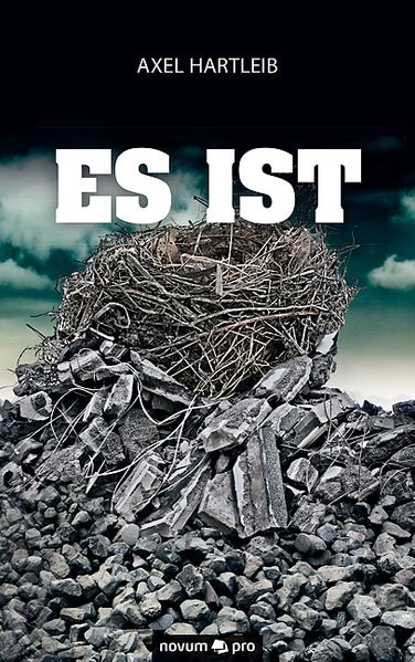 Cover von Es ist