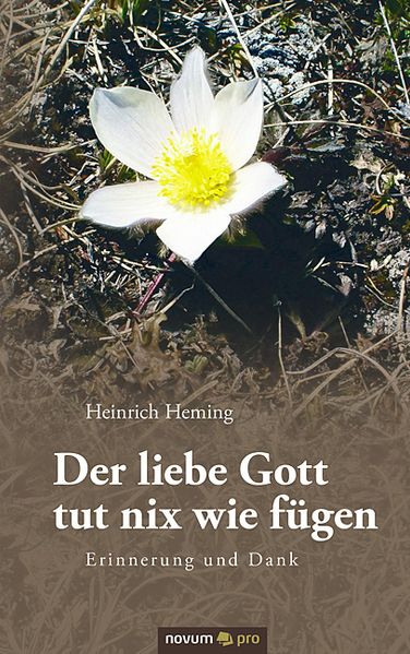 Cover von Der liebe Gott tut nix wie fügen