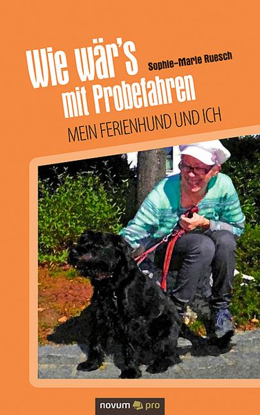 Cover von Wie wär’s mit Probefahren