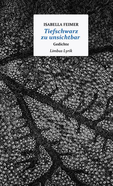Cover von Tiefschwarz zu unsichtbar