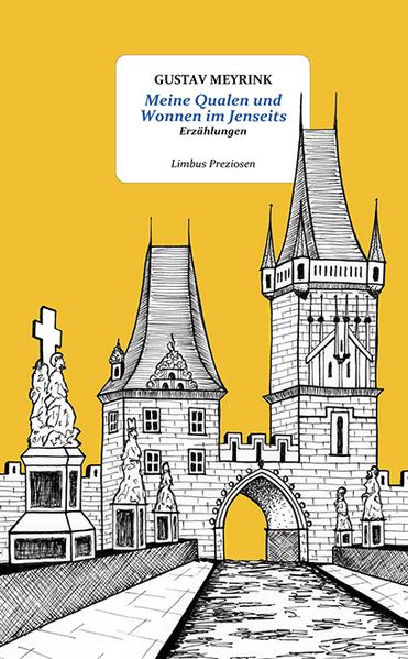 Cover von Meine Qualen und Wonnen im Jenseits