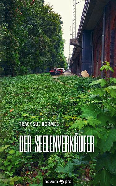 Cover von Der Seelenverkäufer