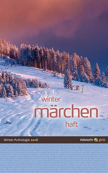 Cover von winter märchen haft 2016