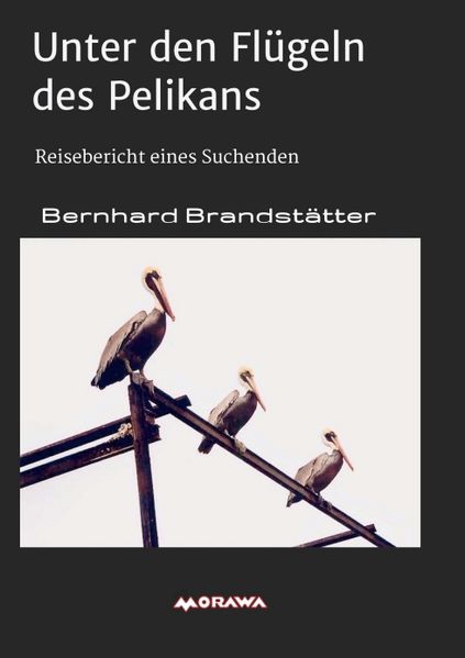 Cover von Unter den Flügeln des Pelikans