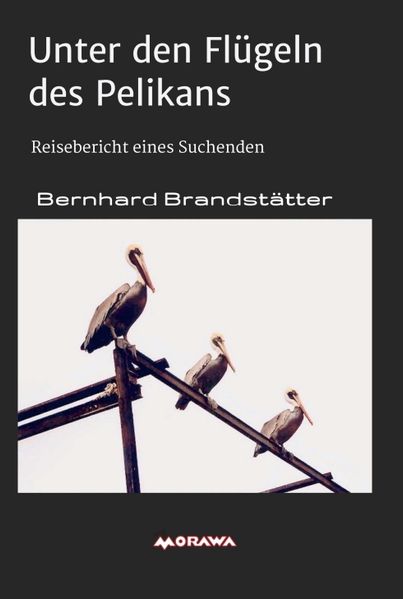 Cover von Unter den Flügeln des Pelikans