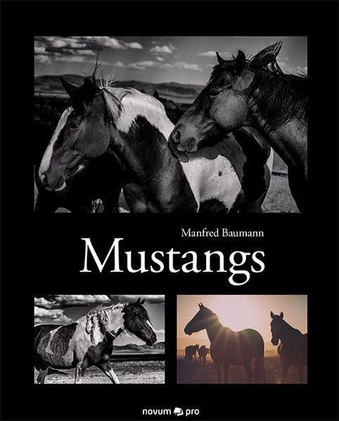 Cover von Mustangs