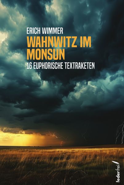 Cover von Wahnwitz im Monsun