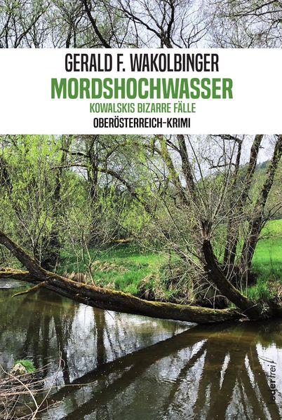Cover von Mordshochwasser
