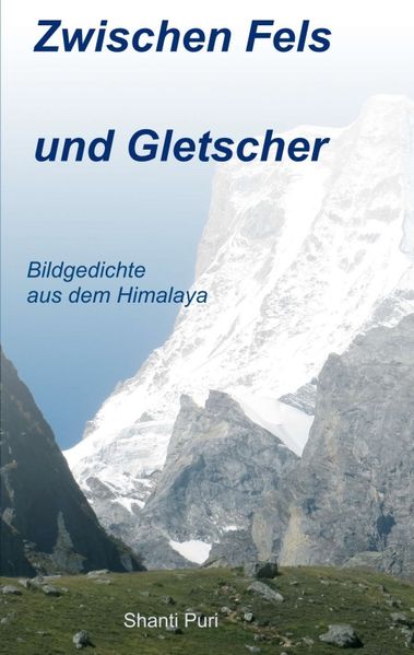 Cover von Zwischen Fels und Gletscher