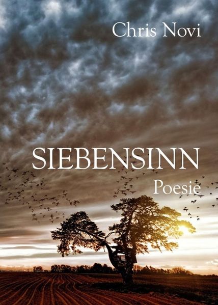 Cover von Siebensinn