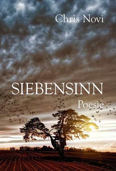 Cover von Siebensinn
