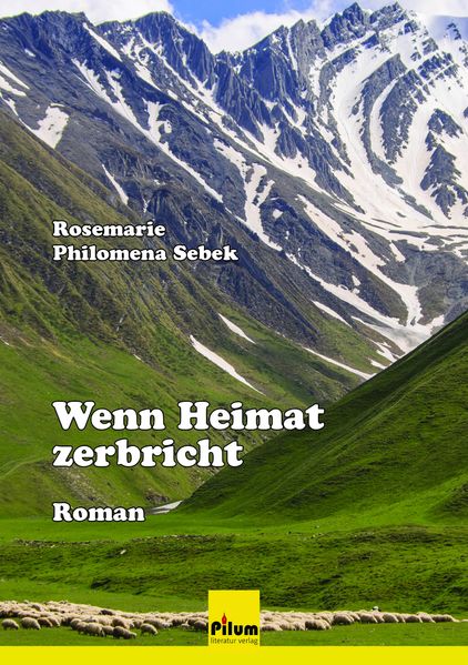 Cover von Wenn Heimat zerbricht