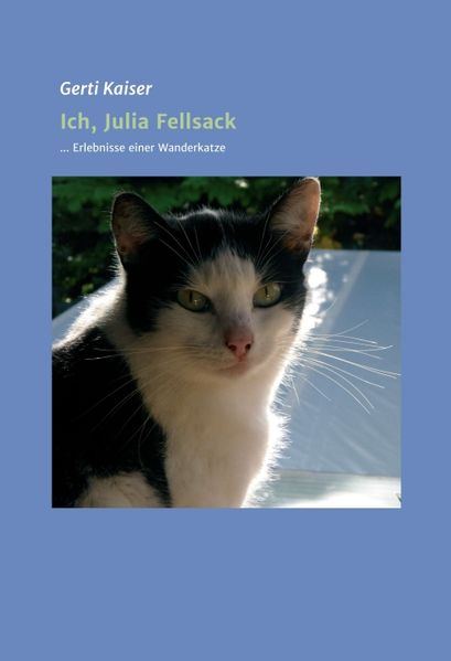Cover von Ich, Julia Fellsack