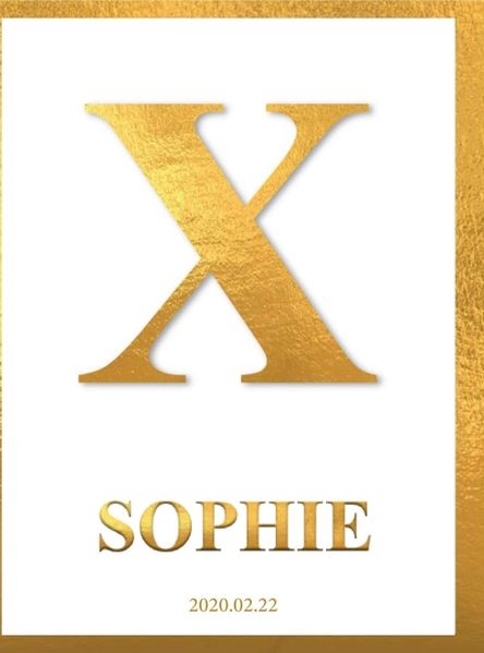 Cover von X – Sophie