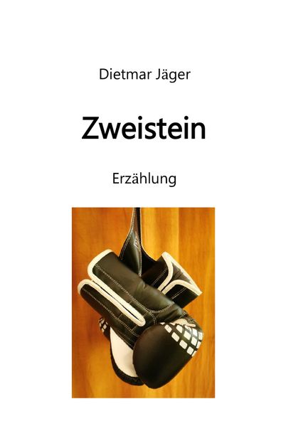 Cover von Zweistein