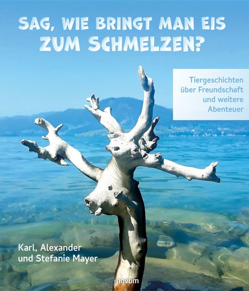 Cover von Sag, wie bringt man Eis zum Schmelzen?