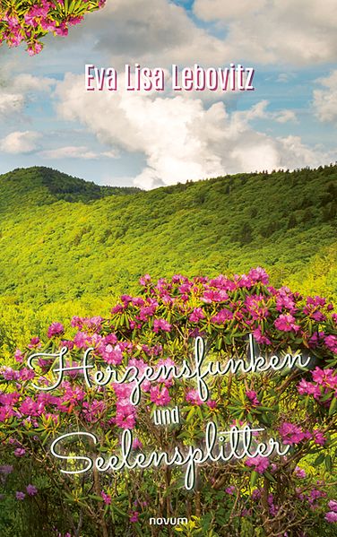 Cover von Herzensfunken und Seelensplitter
