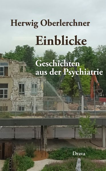 Cover von Einblicke