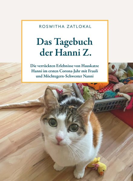Cover von Das Tagebuch der Hanni Z
