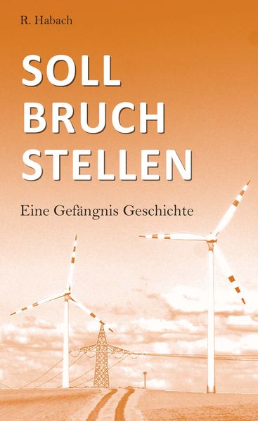 Cover von Sollbruchstellen