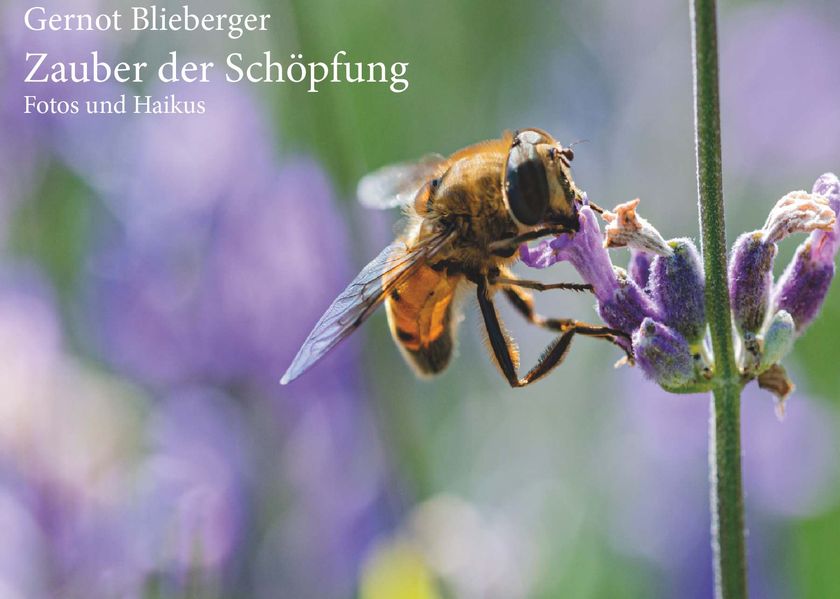 Cover von Zauber der Schöpfung