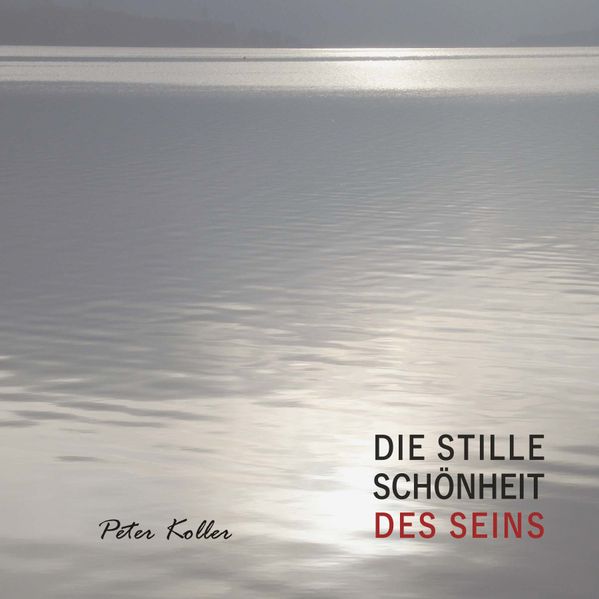 Cover von DIE STILLE SCHÖNHEIT DES SEINS