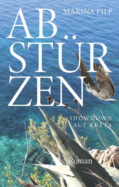 Cover von Abstürzen