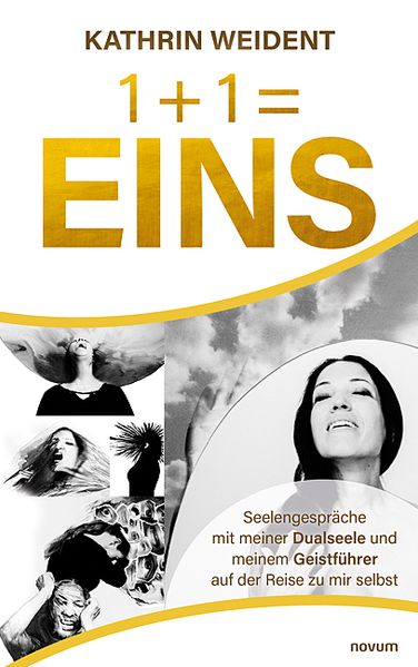 Cover von 1 + 1 = EINS